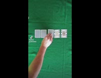 Golden retriever dogs play poker human hands 