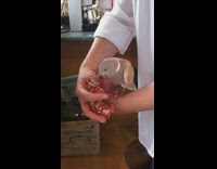 Brown bird eats seeds in christmas stocking 