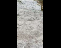 Girl falls off blue sled fail 