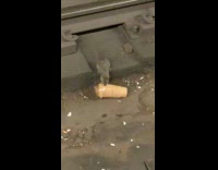 Collab Subway Creatures - Rat try to drag cup on train tracks