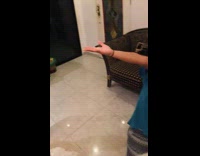 Flying squirrel jumps onto girls face 