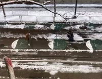 Guy brown coat dance street snow circles