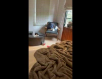 Puppy Runs Around House and Hits Chair