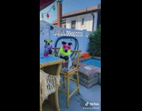 Two dogs wear glasses at tiki bar