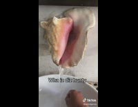 Conch shell sink faucet in bathroom