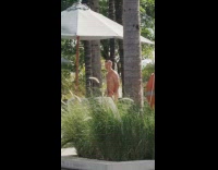 Girl with braids photographs guy