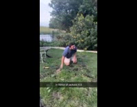 Guy hits ladder with hammer and falls