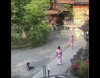 pink Geisha outfit dancing video 