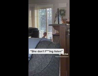 Shirtless little boy yelling out of screen door at dog