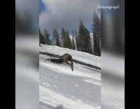 Guy attempts to slide on tree trunk fail