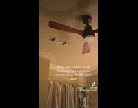 Couple tries to get rid of cockroach