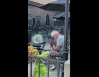 Guy keeps pet pigeon in bag 