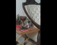 Kitten play with pendulum balls on table