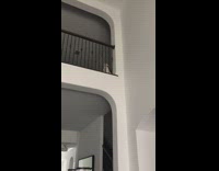 white dog barking from upstairs looking down at owner