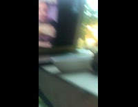 Baby hummingbird facetimes with brown chicken laptop