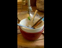 Gecko licks dirty bowl with silverware in it