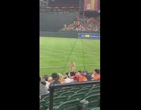 Woman stand take selfie baseball game audience