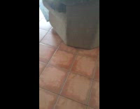 Cat weird sleep position on the couch