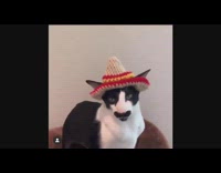 Black white cat crochet knit sombrero hat 