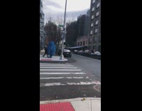 Big blue animal walks on sidewalk 