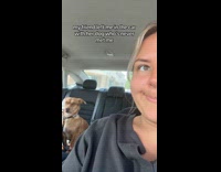 Girl sitting in car with dog