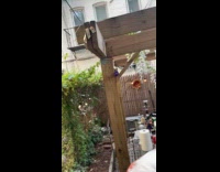 Collab Clips MPUGC - Man outs firecracker on cheese then throws at wall 