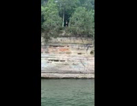 Guy swings off tree vine off cliff into water and flails arms and legs 