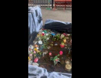 Submitter visits bed-stuy aquarium