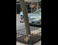 Old woman on motor scooter in street