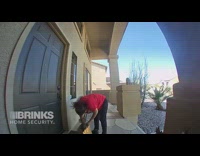 Woman steal package McDonalds bag security camera