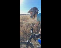 Guy rides bike over hills 