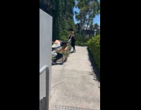 Woman poses beside railing for park photo
