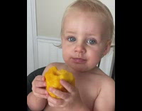 Baby eats peach says bitch