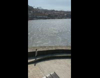 White black polka dot dress yellow boat 