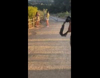 White shirt yellow skirt girl green plant