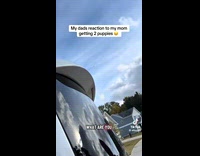 Woman surprising husband with 2 puppies on anniversary