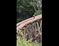 Girl sit old railroad bridge white dog