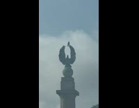 Eagle sit on top of eagle statue