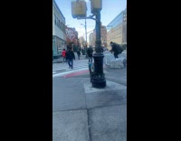 Guy stands on large rock by street 