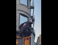 Black spiderman costume guy on pedestrian light 