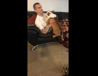 Collab BitchIG2 - Dog barks up to get onto couch