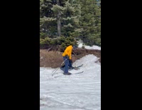 Grouse bird chase people skiing at hill