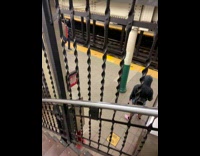 Business man carries briefcase on head