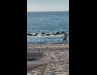 Woman in bikini poses and two men with detectors nearby