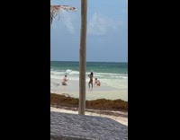 Grey shorts guy girl beach shore seaweed 