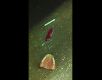 Teeth denture, red lighter, and cigarette on the floor of subway train