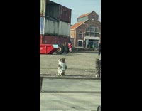 Guy red shirt dance containers baby cry