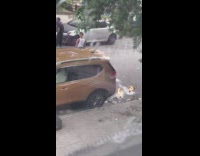 White shirt girl sets something on pt. 2
