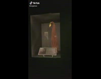 Gold hair plug with long brown hair display