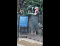 Collab winy - Man bring cat in carrier at dog park